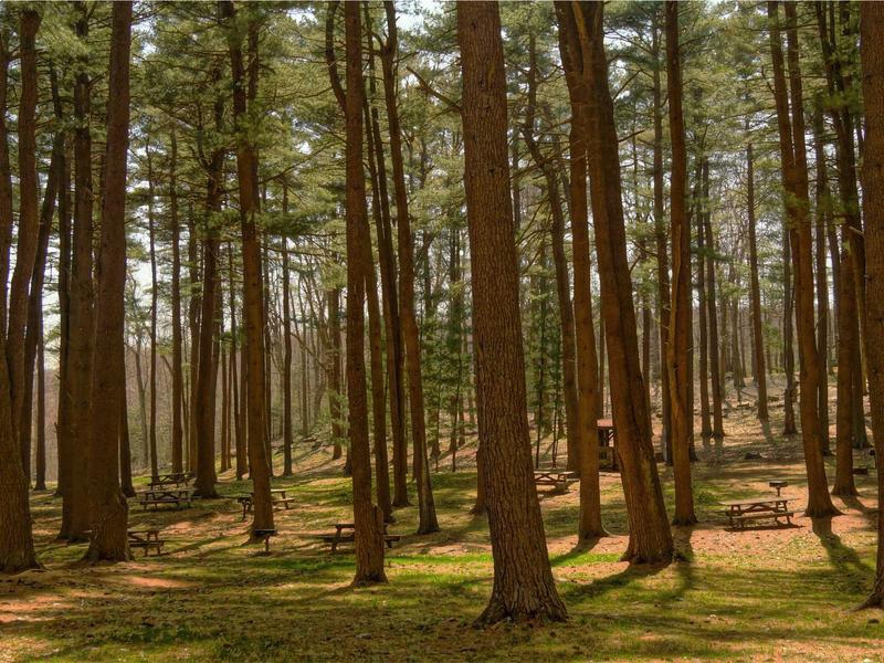 sudoku forcing chains screenshot 3