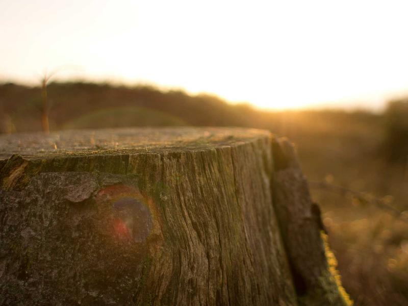 sudoku challenge mode